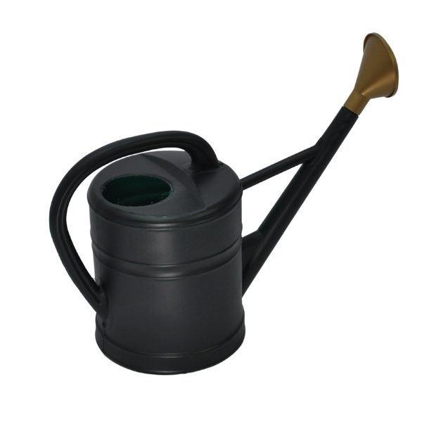 Serija 81 Anthracite 02