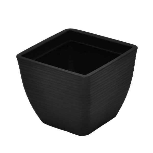 SERIJA 53 – BOLOGNA Black 19