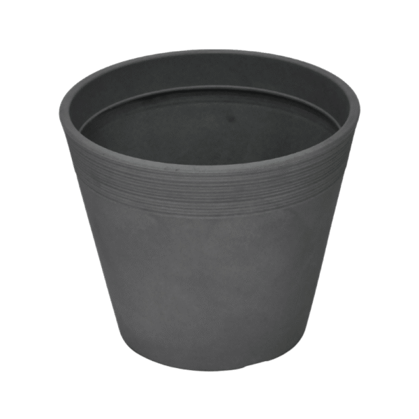 SERIJA 44 – LOCARNO