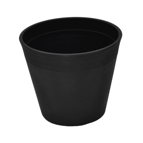 SERIJA 44 – LOCARNO