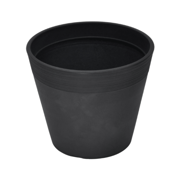 SERIJA 44 – LOCARNO