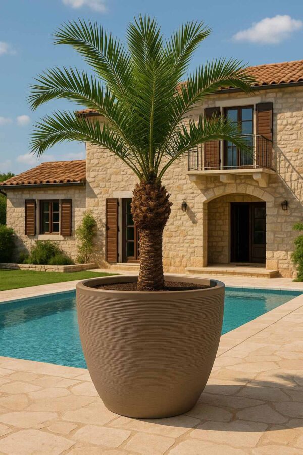 SERIJA 40 – MILANO