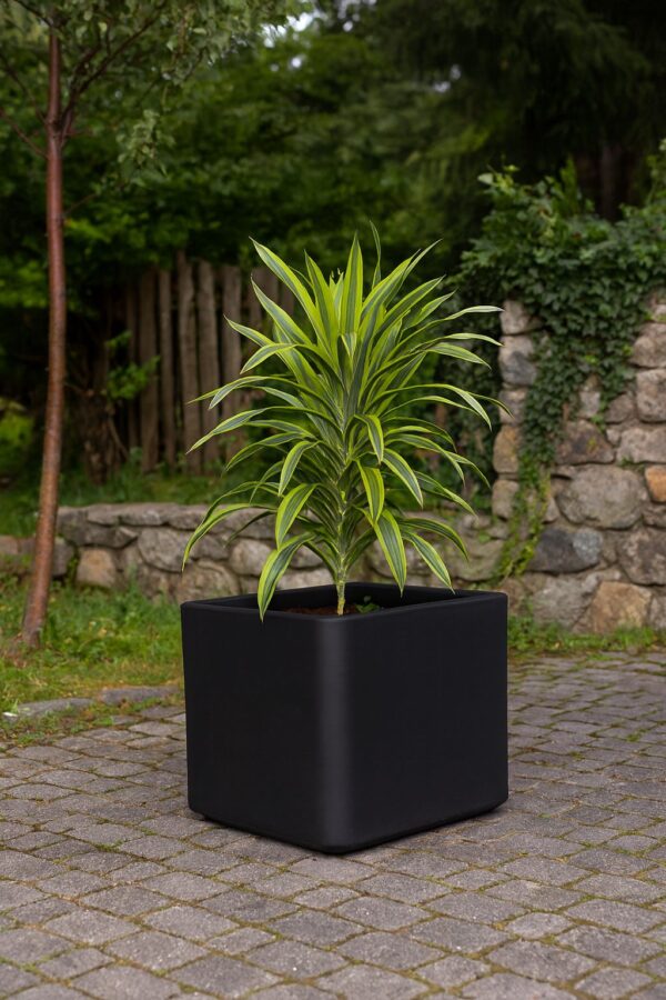 SERIJA 52 – LIVORNO