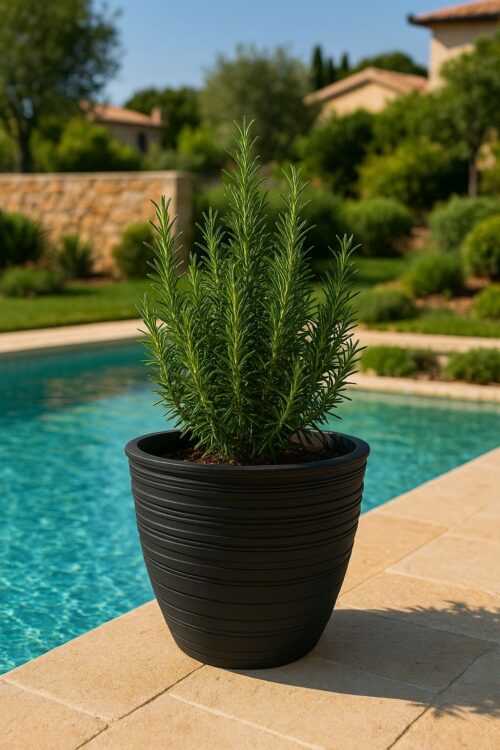 Serija 46 Ancona Black 19 SERIJA 46 - ANCONA